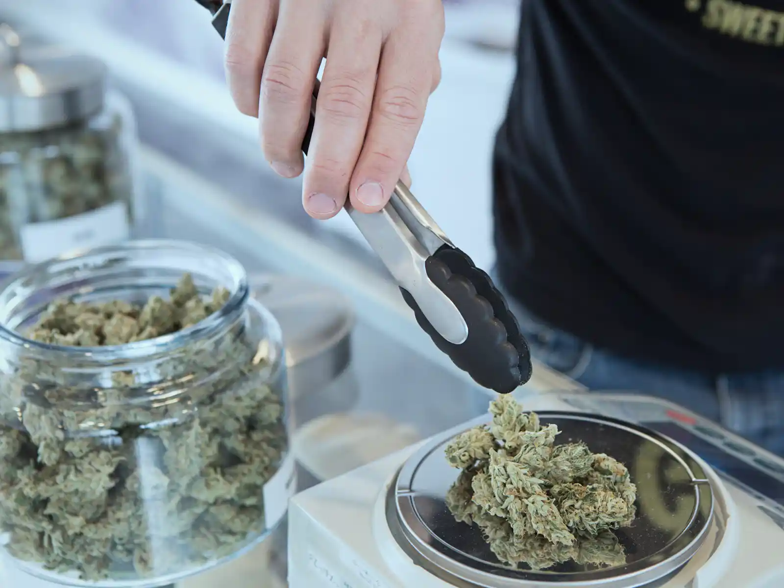 hand-mit-zange-wiegt-cannabisblueten Eine Hand benutzt eine Küchenzange, um Cannabisblüten auf einer Waage zu wiegen, mit Glasbehältern voller Blüten im Hintergrund von HANF SPAR.