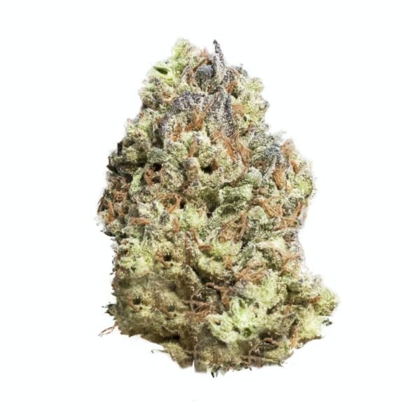 Nahaufnahme einer Cannabisblüte mit grünen und lila Blättern, bedeckt von kristallinen Trichomen.