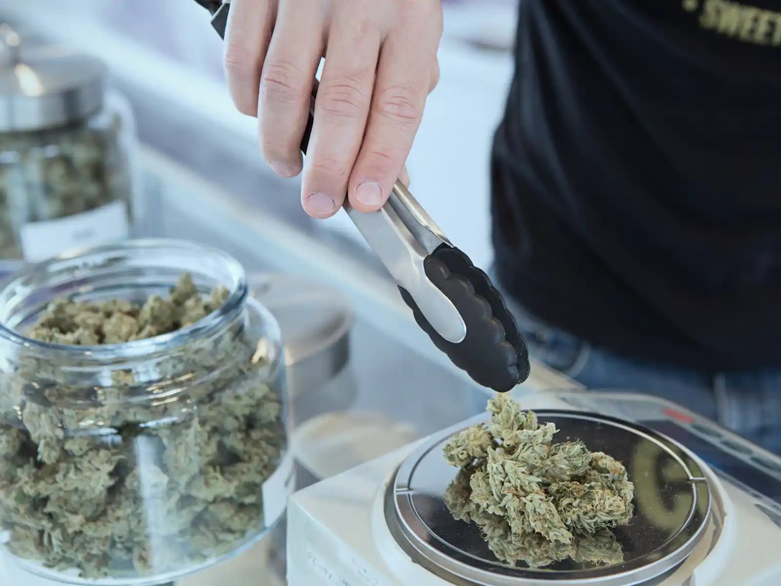 Eine Hand benutzt eine Küchenzange, um Cannabisblüten auf einer Waage zu wiegen, mit Glasbehältern voller Blüten im Hintergrund von HANF SPAR.